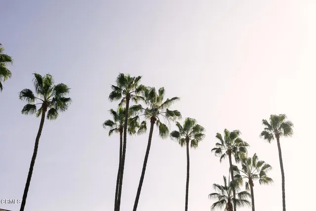 $2,055,000 | 124 West Colorado Street, Unit 501, Glendale, CA 91204