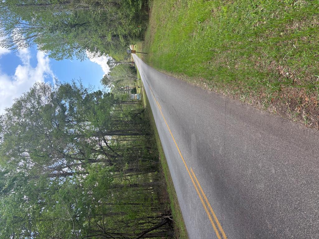 Lot 202 Valley Rescue Mission Road, Unit 202 Hamilton, GA 31811 - Photo 1 of 12 Main View