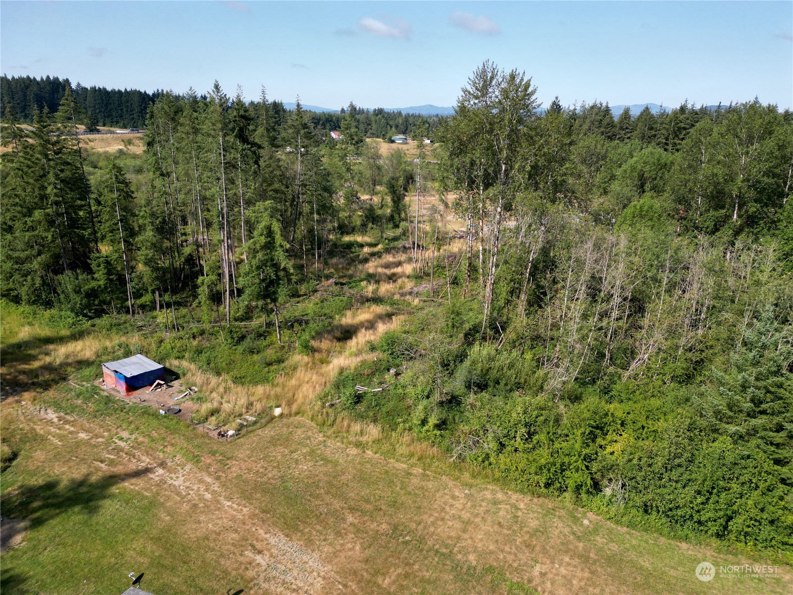 446-67 Meier Road Winlock, WA 98596 - Photo 31 of 33 a view of outdoor space and yard