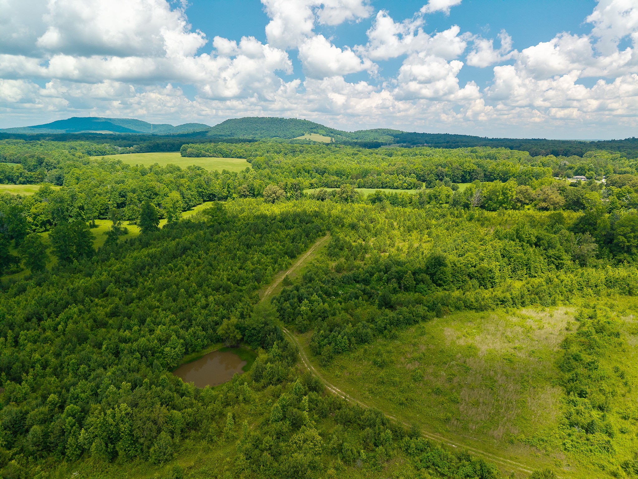 0 Gunter Road McMinnville, TN 37110 - Photo 16 of 24