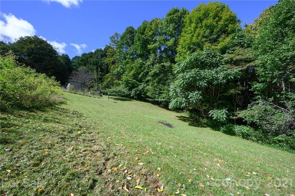 1747 Secluded Valley Road Marshall, NC 28753 - Photo 27 of 33 a view of a lush green space