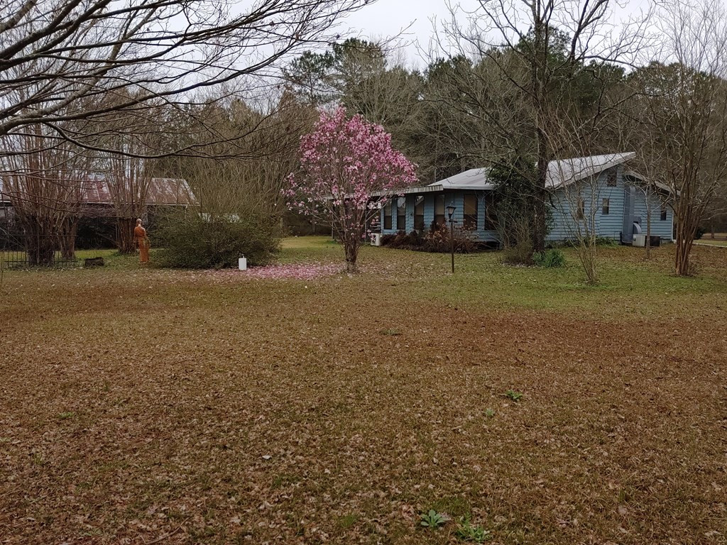 992 Fordsville Road Tylertown, MS 39667 - Photo 4 of 42 Photo 4