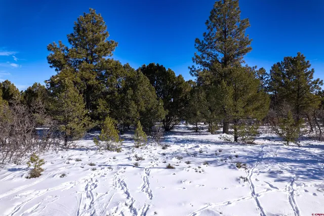 $87,000 | Lot 555 North Badger Trail, Ridgway, CO 81432