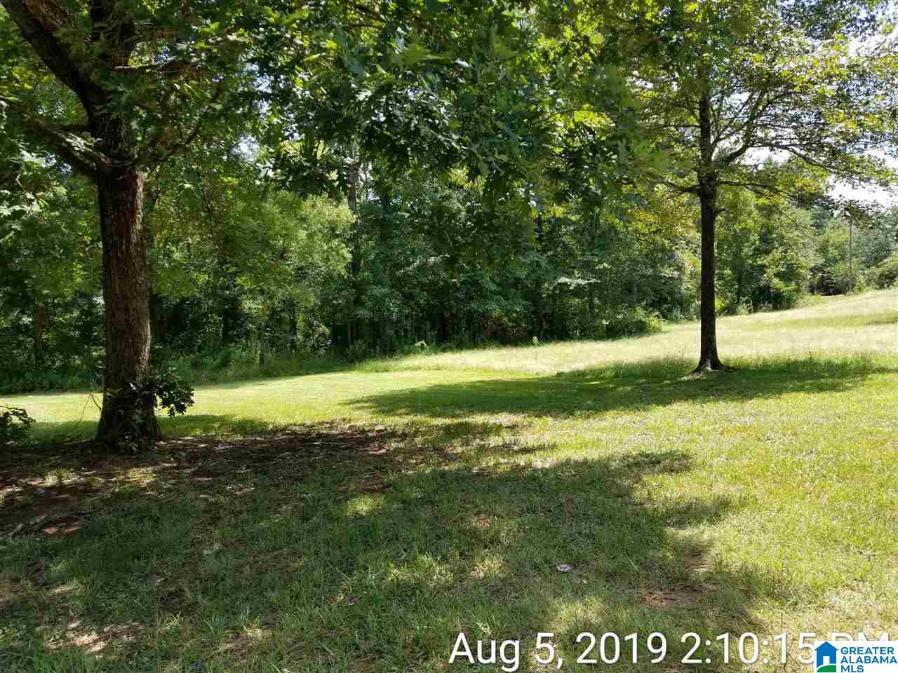 488 Higginbotham Road Empire, AL 35063 - Photo 3 of 12