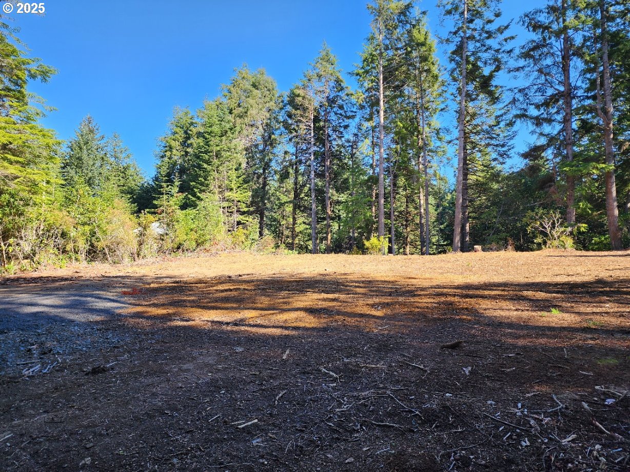 Park Road, Unit 308 Port Orford, OR 97465 - Photo 1 of 10 Gallery Image 1