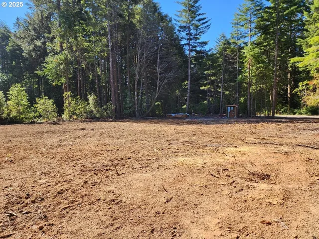 a view of a yard with trees