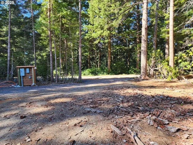 a view of road with trees