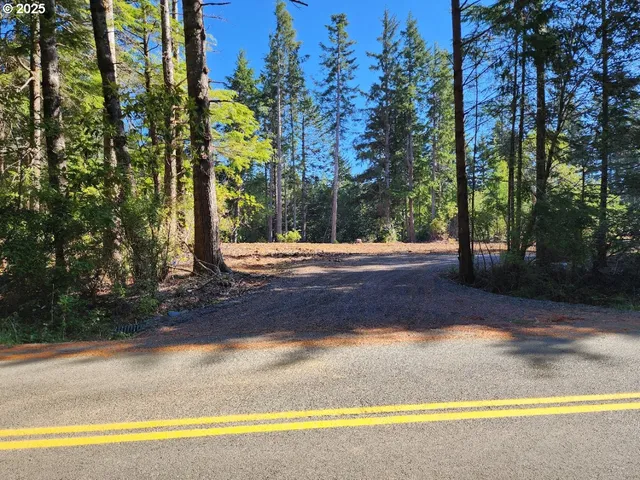 a view of a yard with palm trees