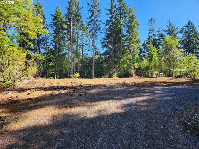 a view of a yard with plants and trees