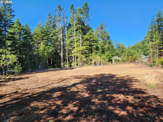 a view of outdoor space and garden