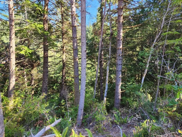 a view of a yard with swimming pool
