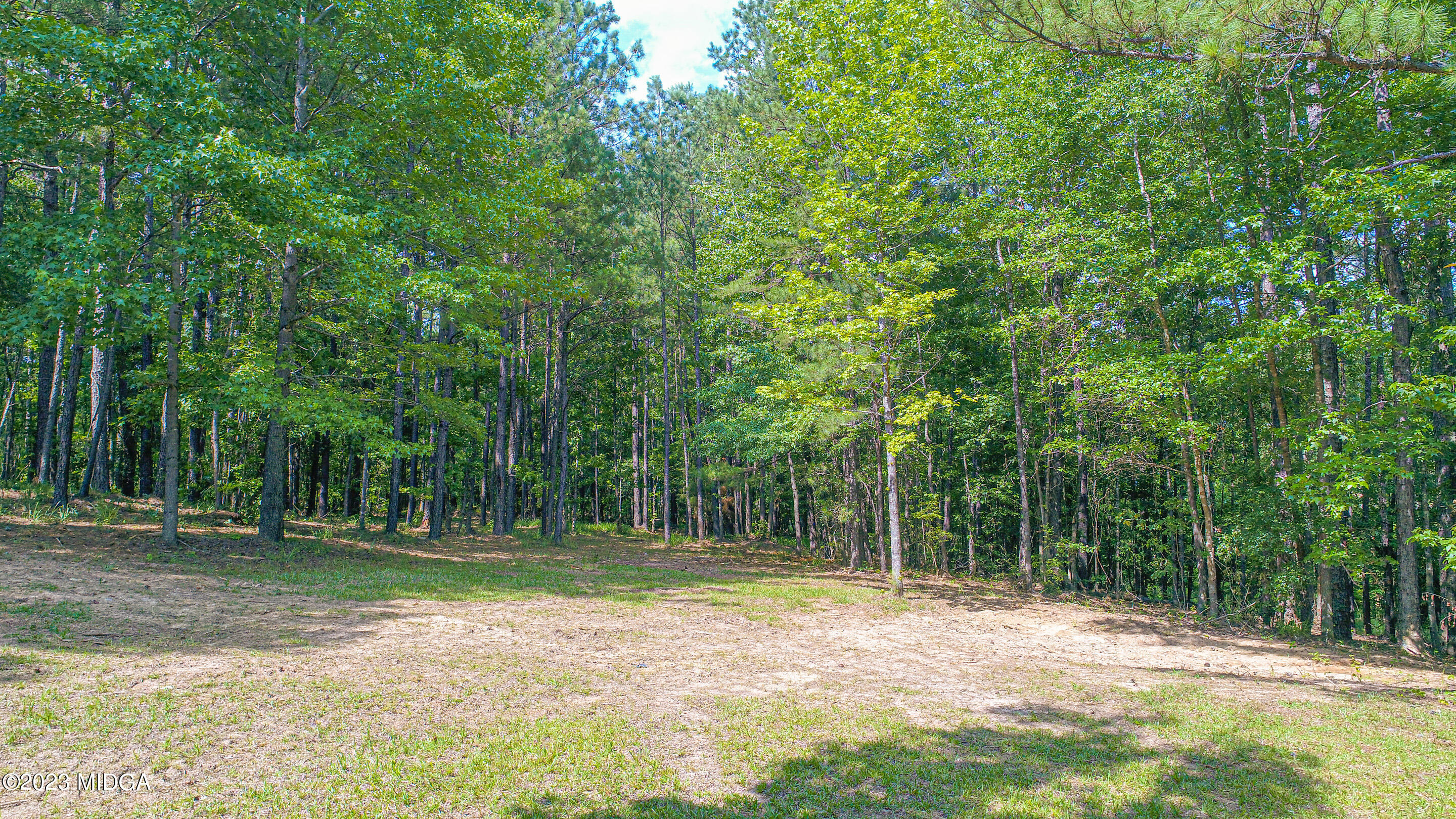 2818 Pea Ridge Road Juliette, GA 31046 - Photo 55 of 71 a backyard of a house with lots of green space