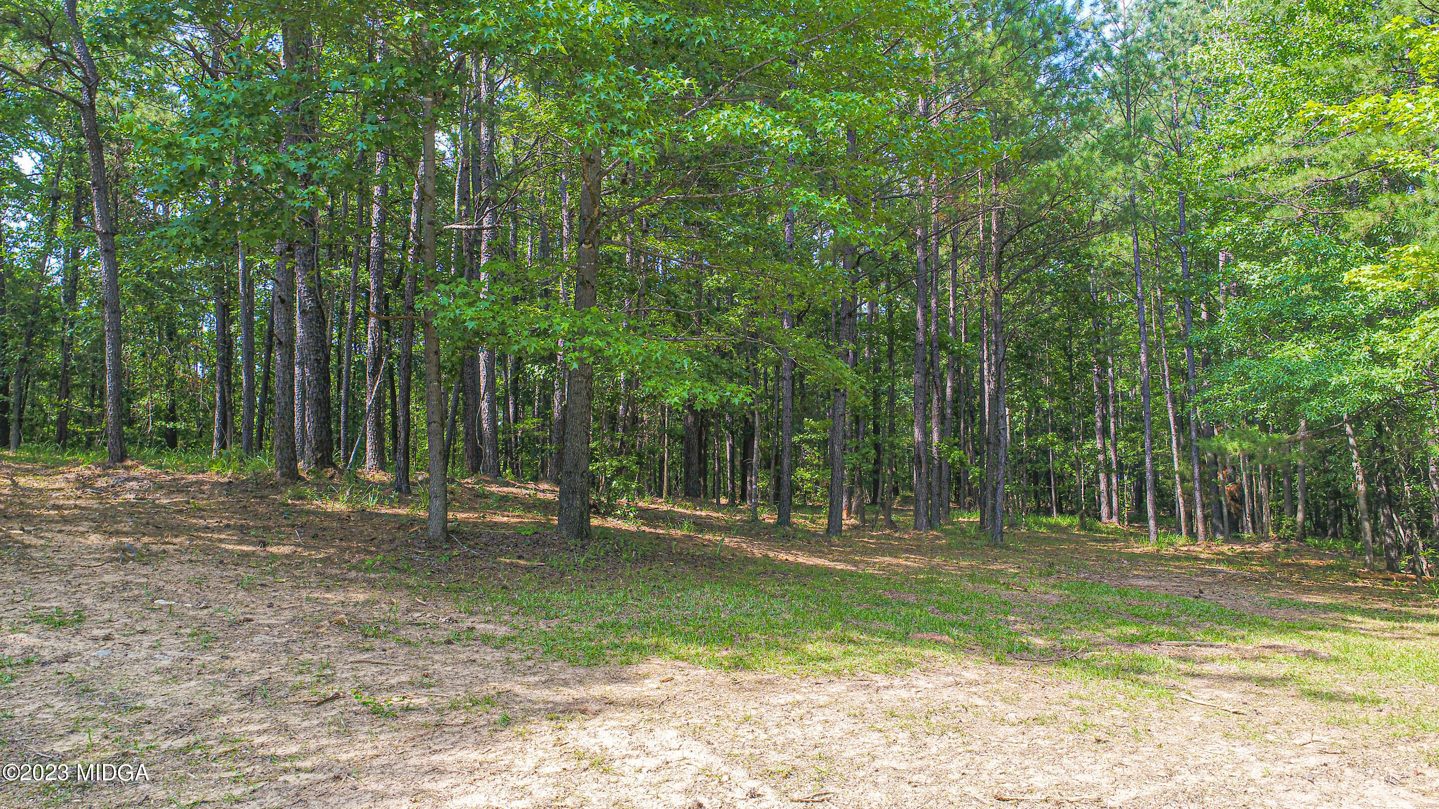 2818 Pea Ridge Road Juliette, GA 31046 - Photo 56 of 71 a backyard of a house with lots of green space