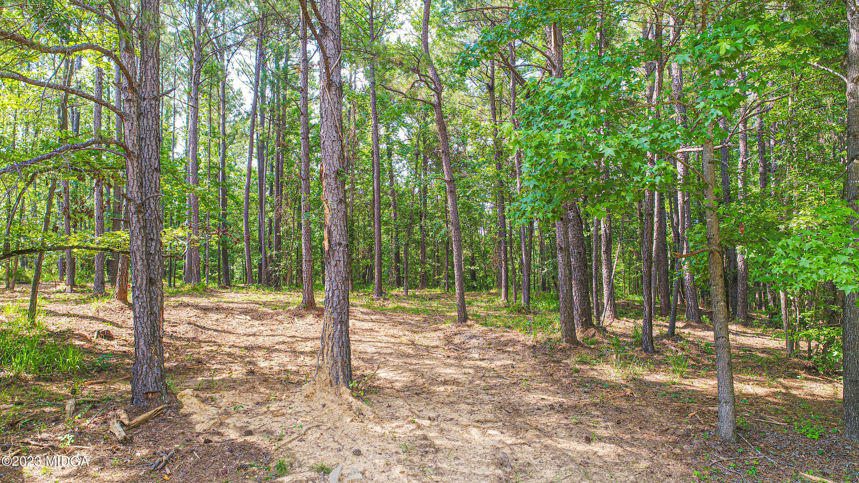 2818 Pea Ridge Road Juliette, GA 31046 - Photo 57 of 71 1-57
