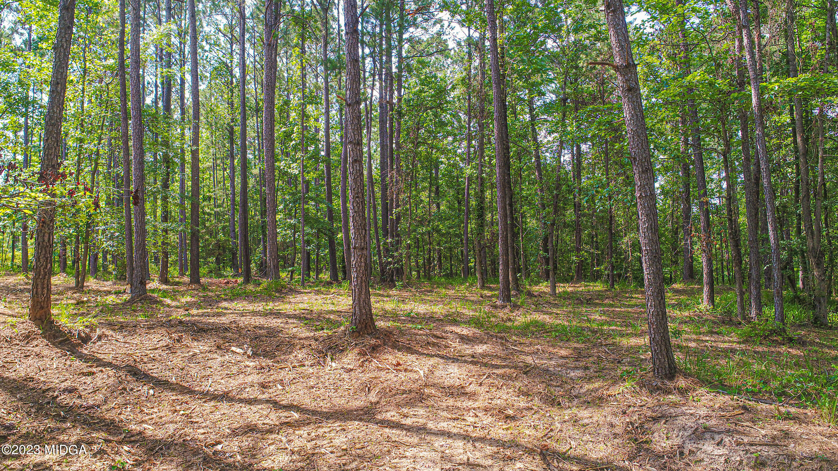 2818 Pea Ridge Road Juliette, GA 31046 - Photo 58 of 71 a backyard of a house with lots of trees