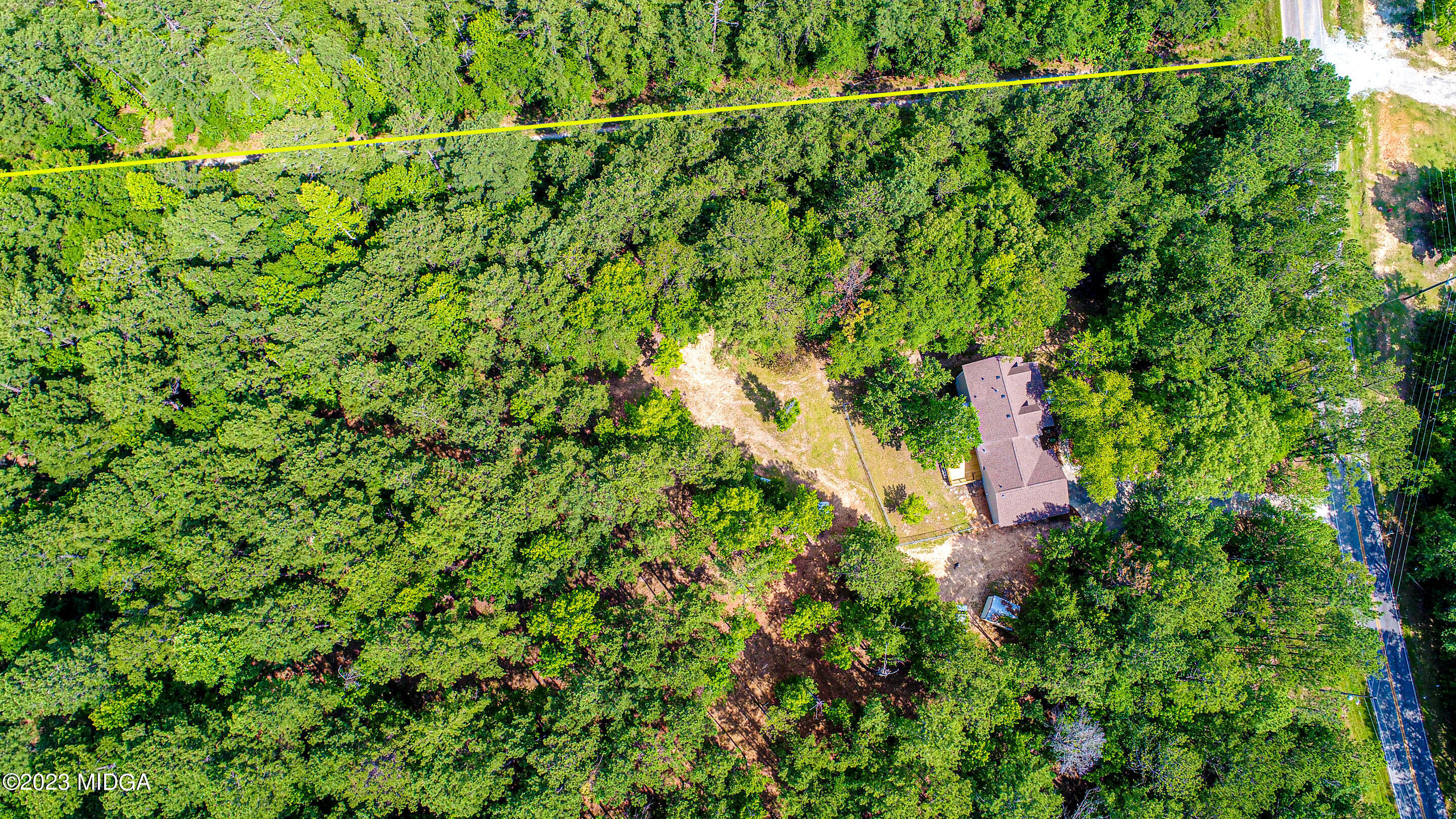 2818 Pea Ridge Road Juliette, GA 31046 - Photo 65 of 71 a view of a lush green forest with a tree