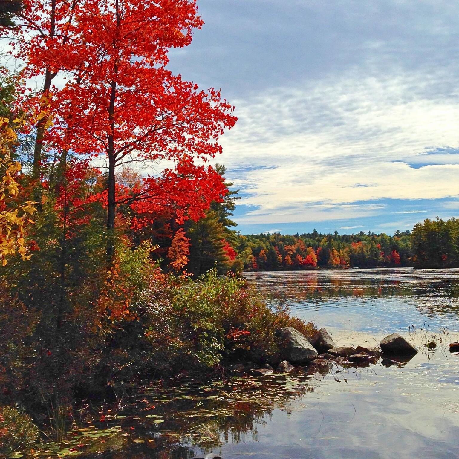 0 Wild Haven Road Harrison, ME 04040 - Photo 13 of 17 water 8