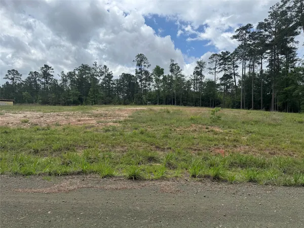 a view of a field with an trees