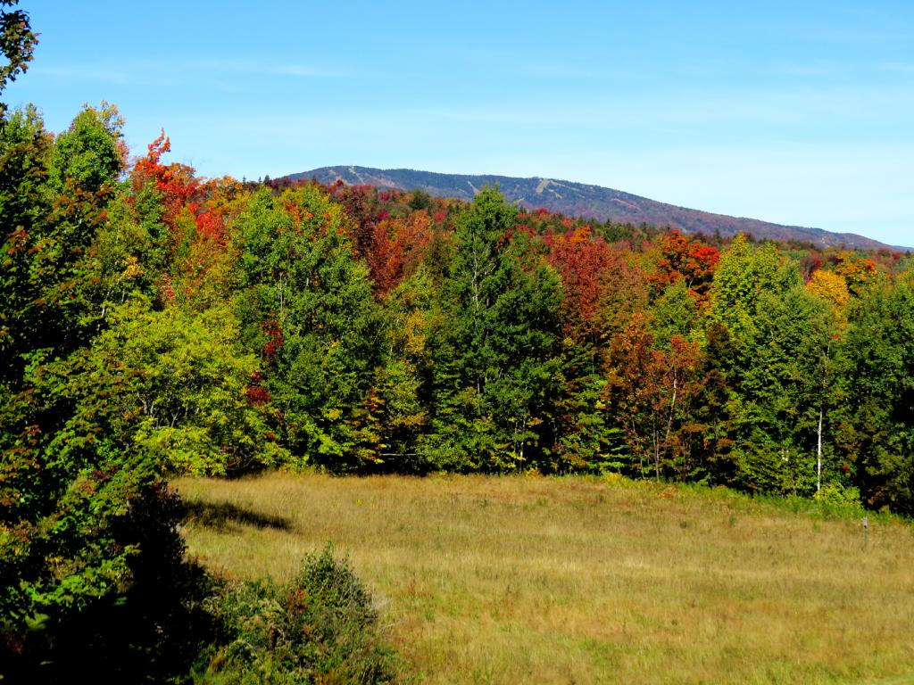 26 Bear Hill Road Ludlow, VT 05149 - Photo 5 of 36