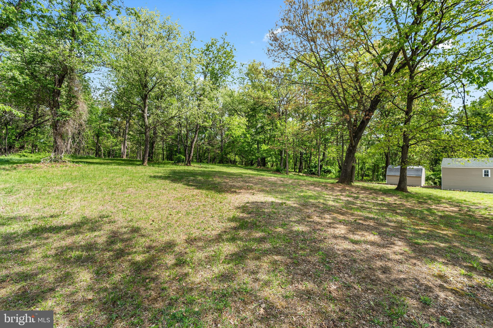 1217 Nestle Quarry Road Falling Waters, WV 25419 - Photo 11 of 52 a view of a field with trees in the background