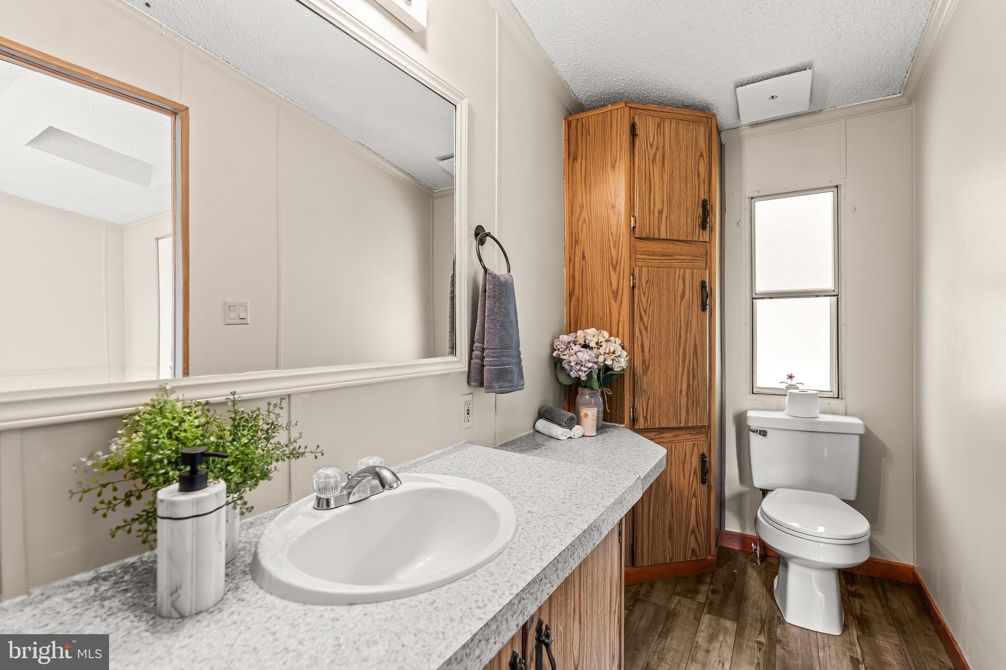 1217 Nestle Quarry Road Falling Waters, WV 25419 - Photo 30 of 52 a bathroom with a sink and a mirror