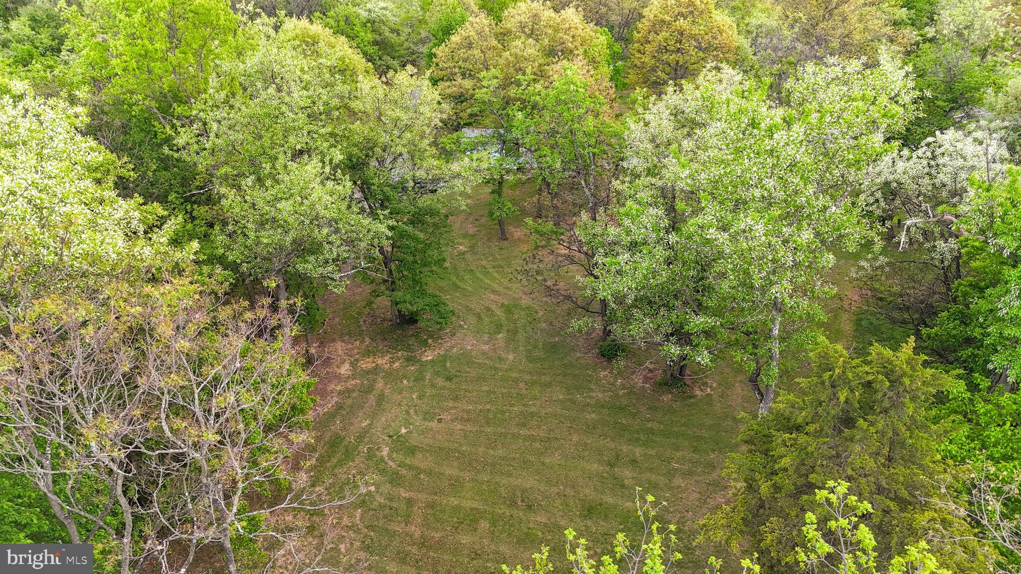 1217 Nestle Quarry Road Falling Waters, WV 25419 - Photo 45 of 52 a view of a lake view