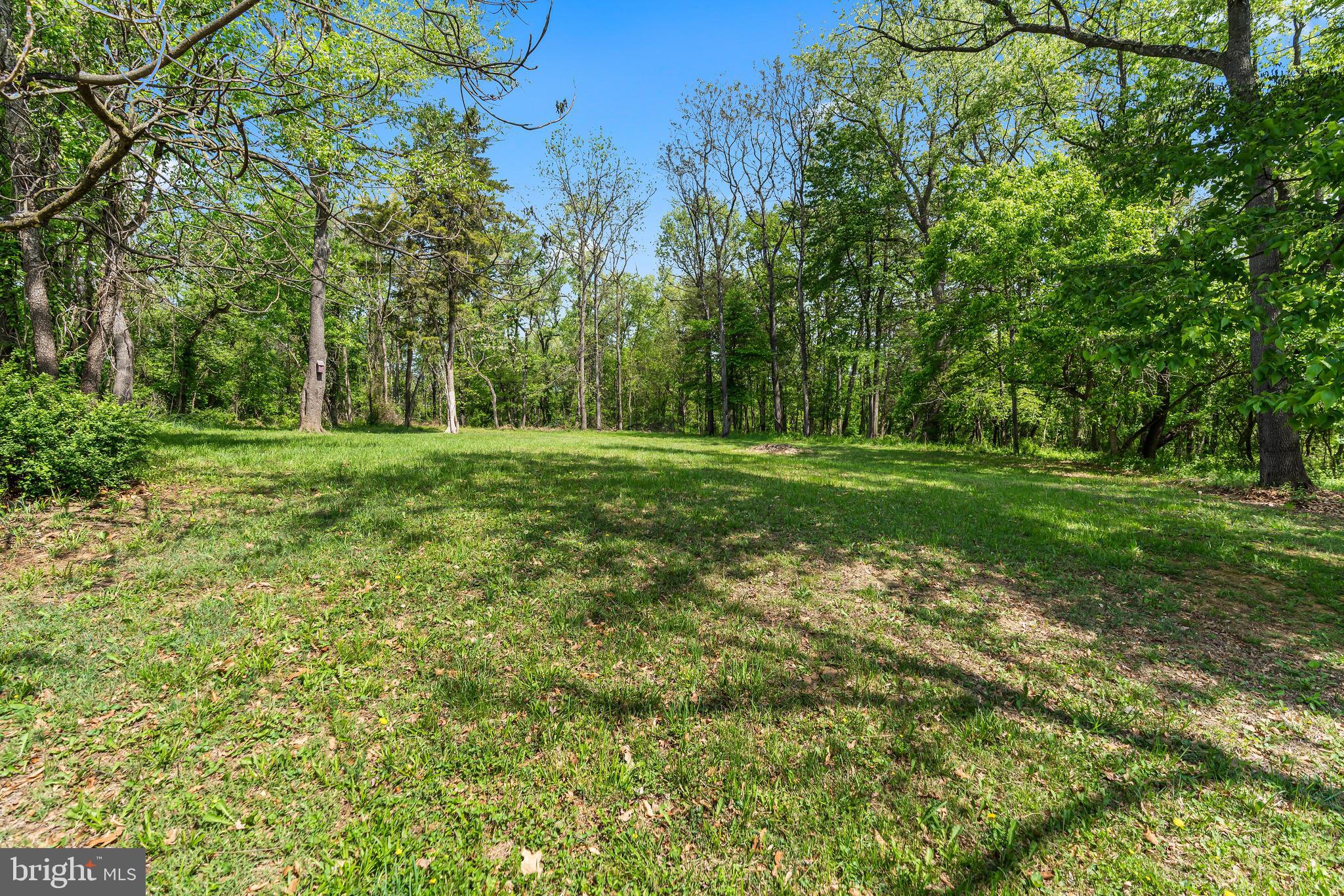 1217 Nestle Quarry Road Falling Waters, WV 25419 - Photo 9 of 52 a view of a grassy field with trees in the background
