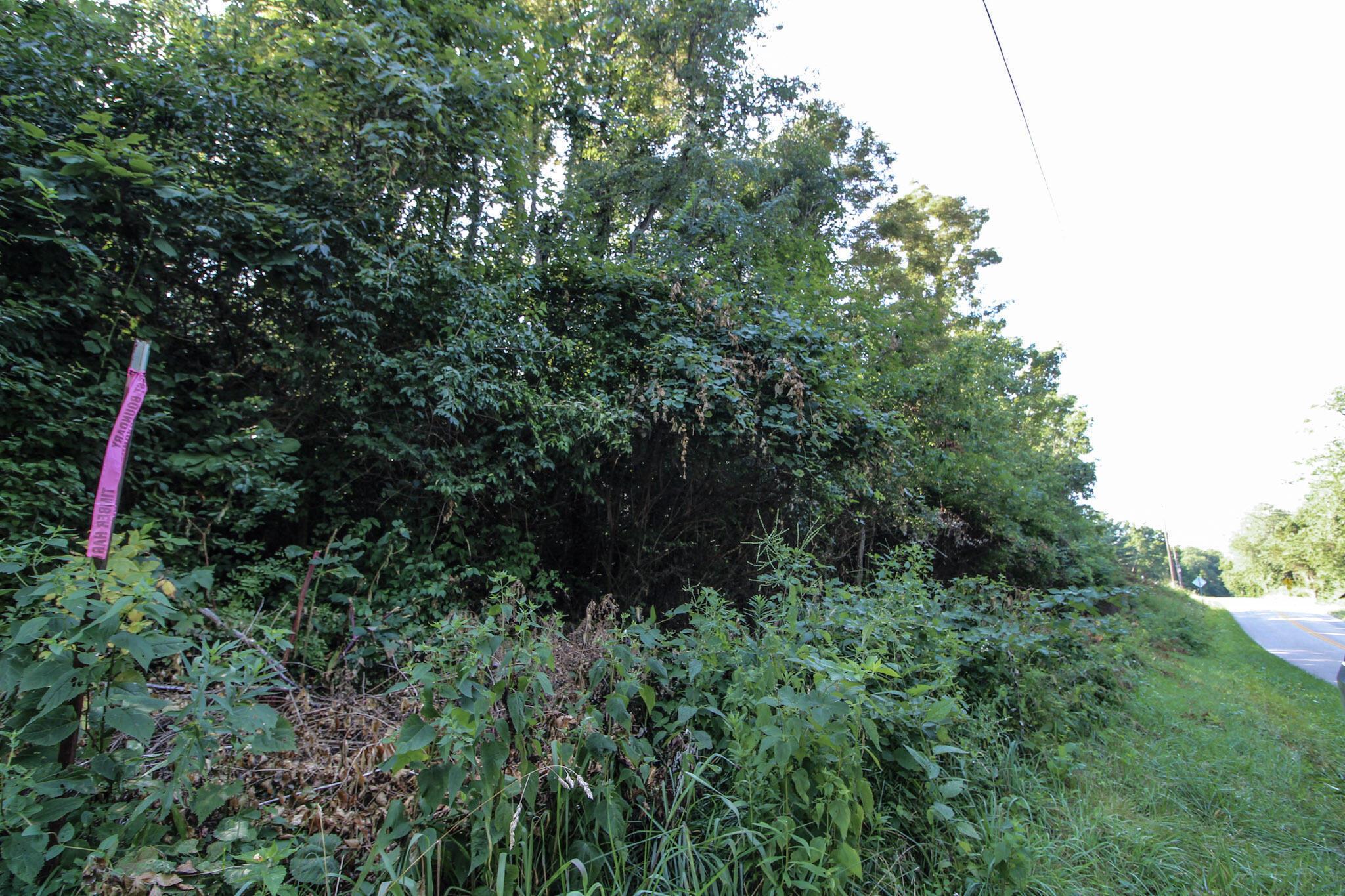 0 Rapid Forge Road Bainbridge, OH 45612 - Photo 15 of 19 9-Rapid Forge