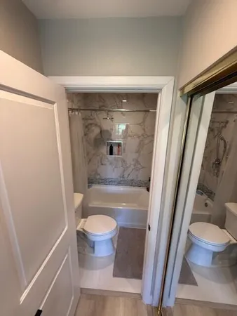 a bathroom with a bathtub and a toilet
