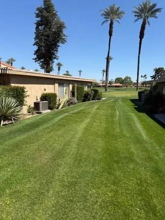 a view of a backyard with a garden and plants