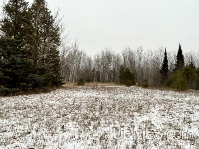Tbd5 Larson Road Atlantic Mine, MI 49905 - Photo 14 of 56 Gallery Image 14
