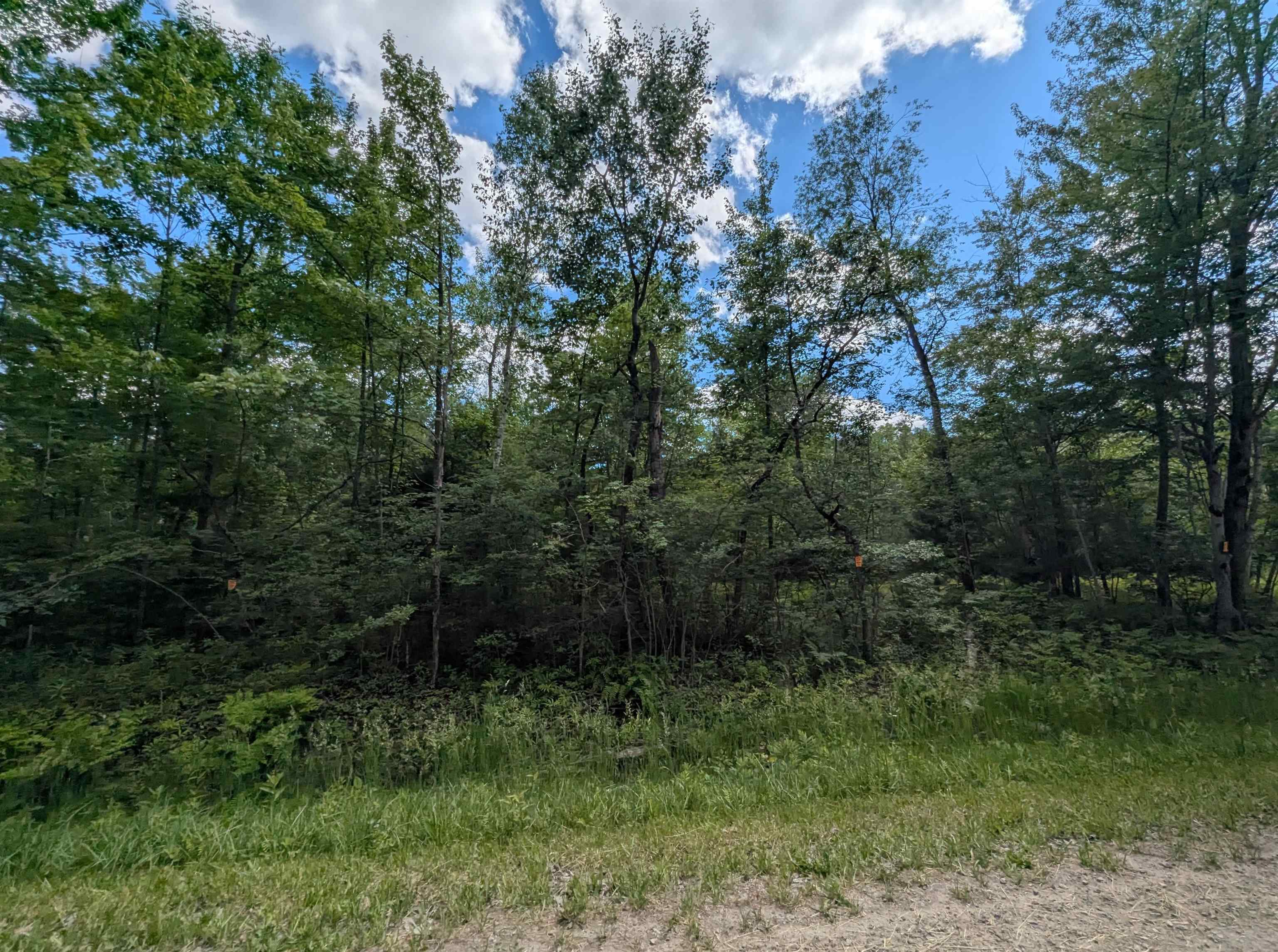 N/a Bordeau Road Standish, MI 48658 - Photo 2 of 8