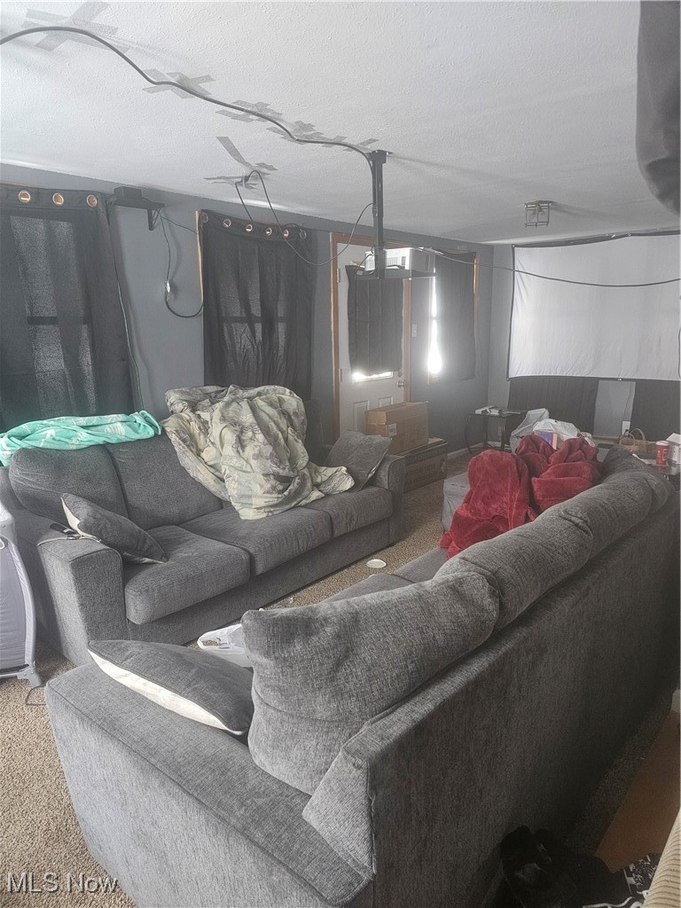 25150 Columbus Road Bedford Heights, OH 44146 - Photo 14 of 30 Living room with carpet flooring and a textured ceiling