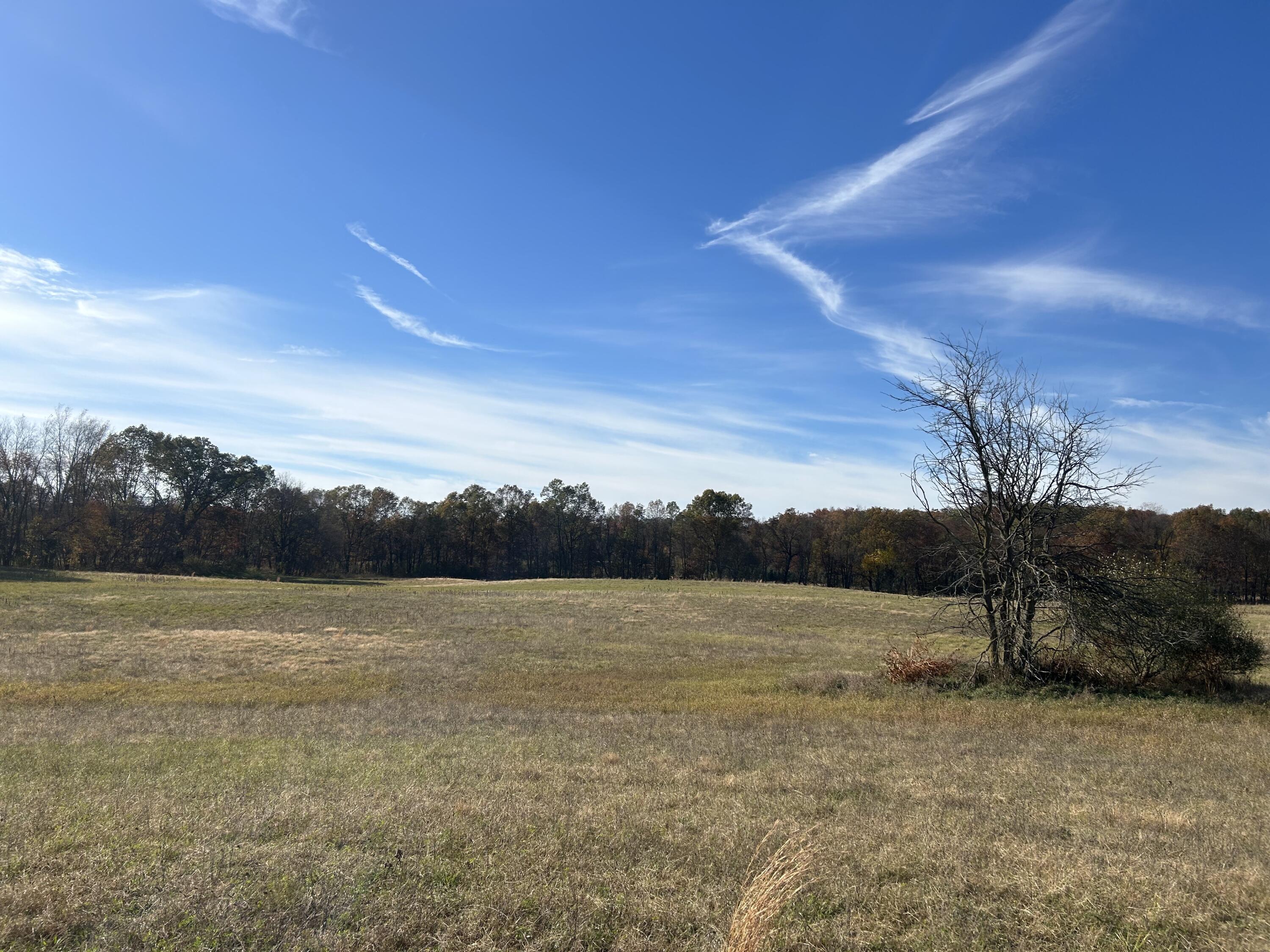 Wertman Road Delton, MI 49046 - Photo 2 of 6 48acre 2
