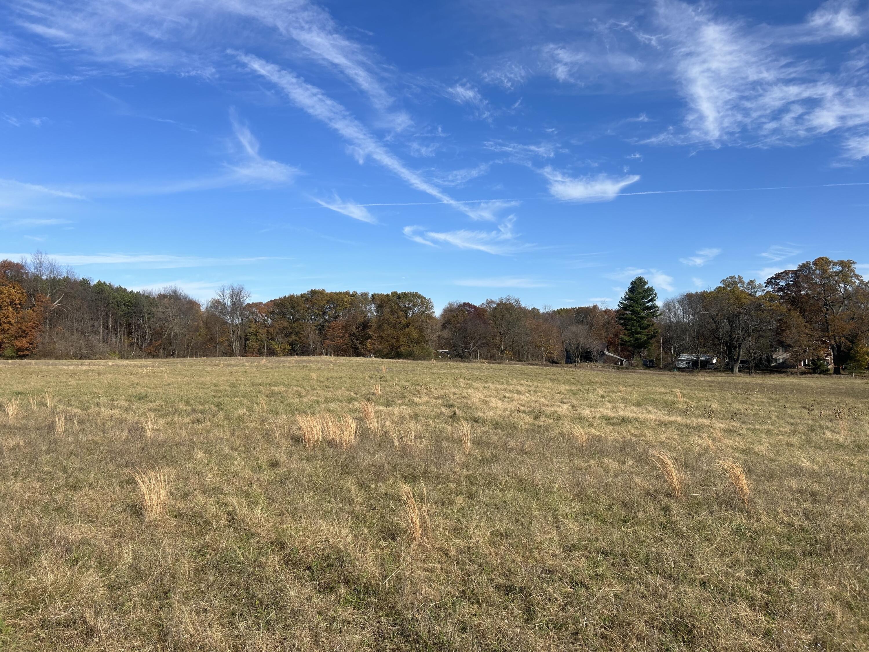 Wertman Road Delton, MI 49046 - Photo 4 of 6 48acre 4