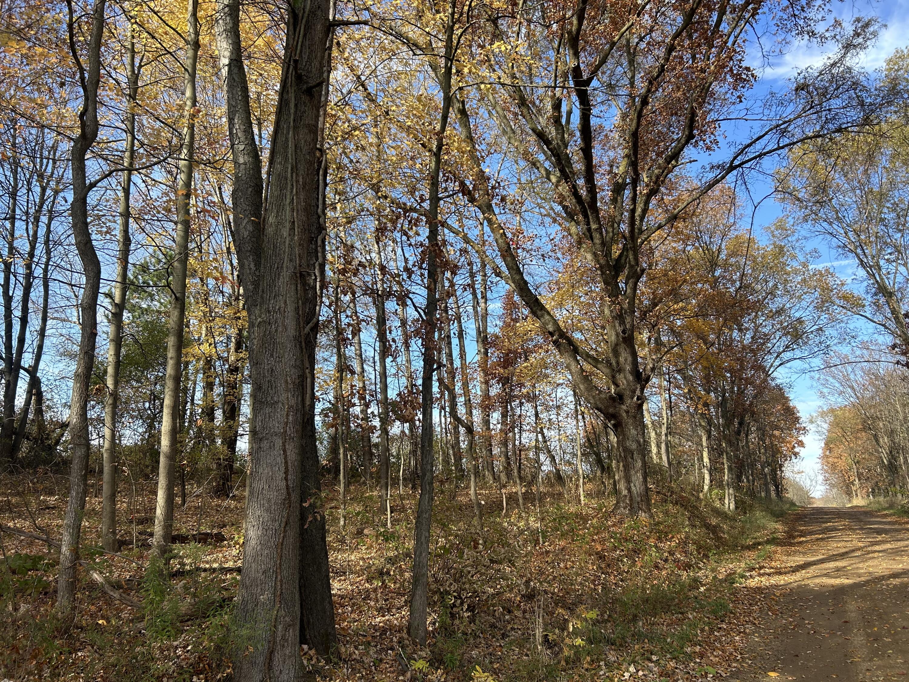 Wertman Road Delton, MI 49046 - Photo 5 of 6 48 acre 3