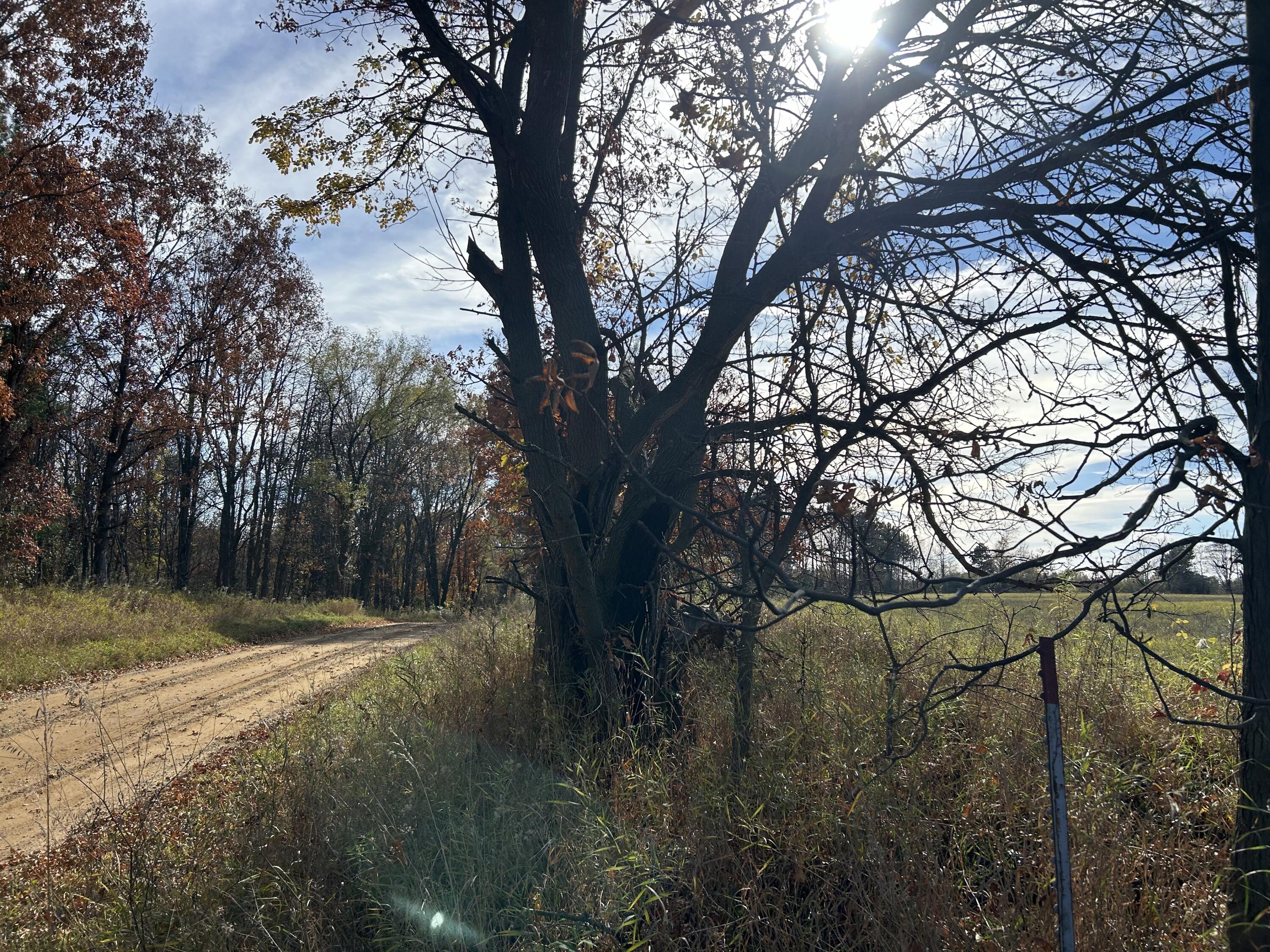 Wertman Road Delton, MI 49046 - Photo 6 of 6 48 acre 5