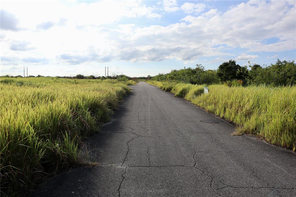 a view of a lake from a yard
