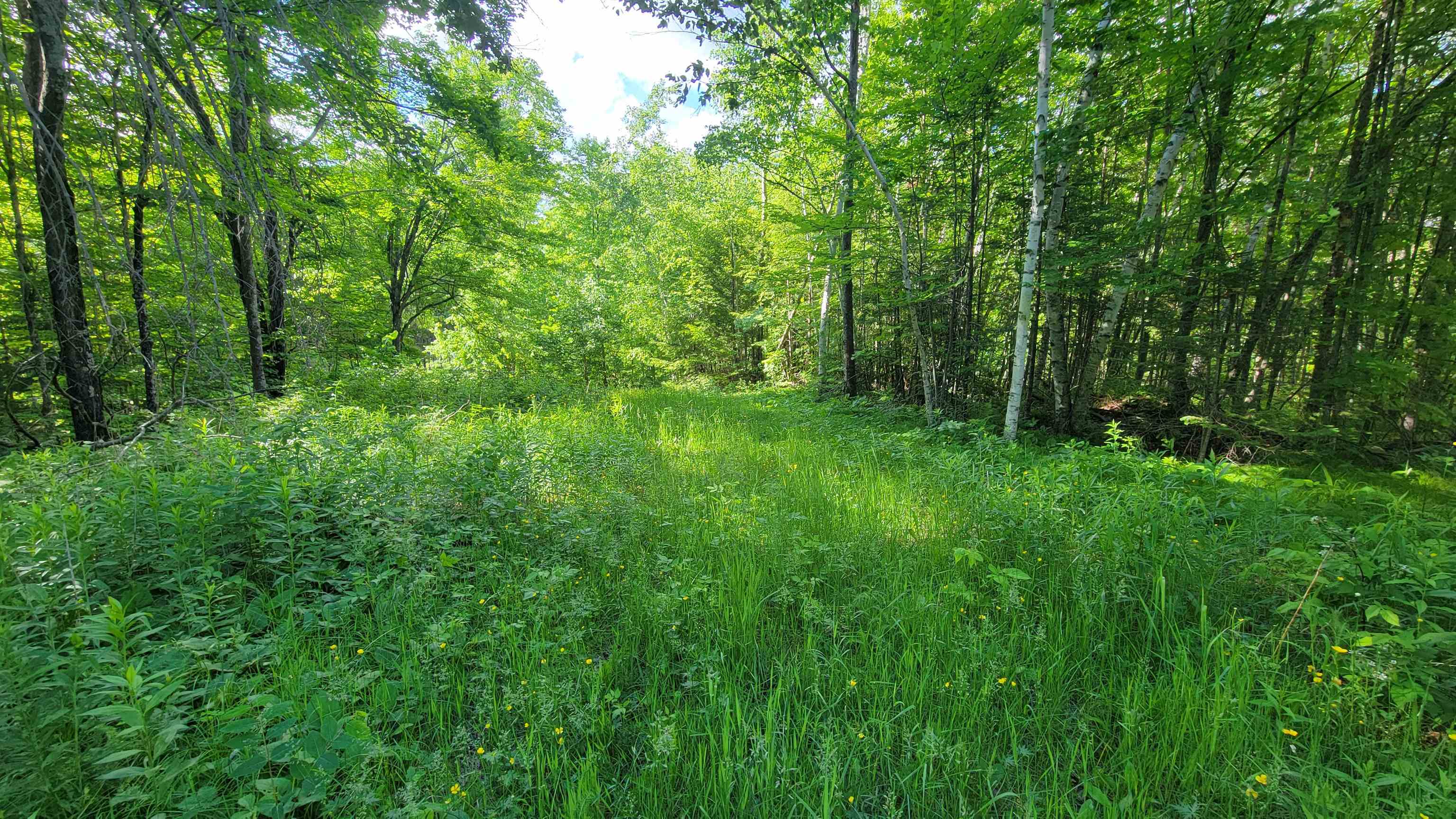 On Hunting River Road Summit Lake, WI 54485 - Photo 6 of 10