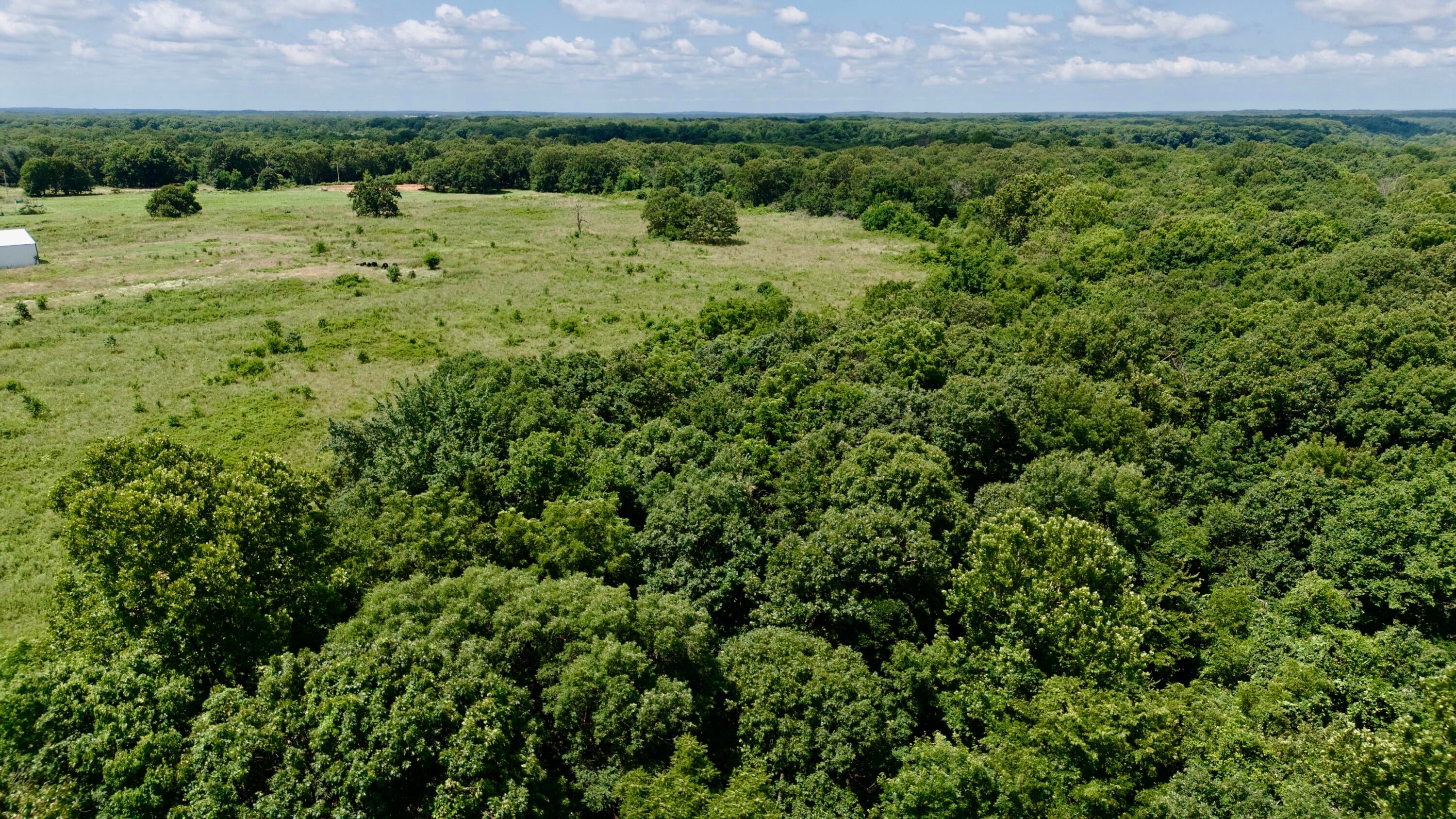 6170 28th Road Eucha, OK 74342 - Photo 11 of 44 Gallery Image 11