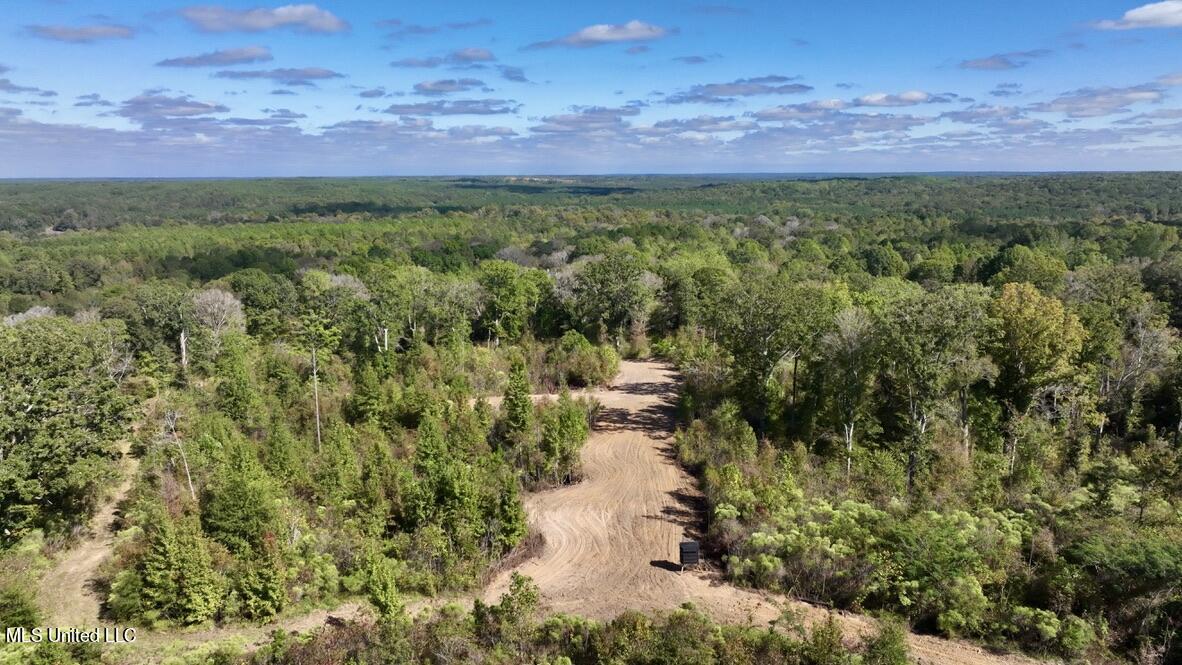 1 Hebron Road Lexington, MS 39095 - Photo 1 of 45 drone