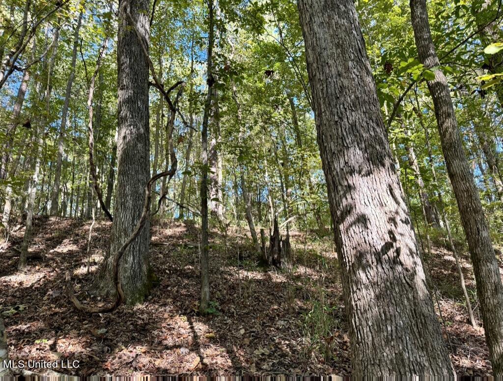 1 Hebron Road Lexington, MS 39095 - Photo 20 of 45 3DA2E434-FDB3-4628-AB4D-EA9548280790_1_1