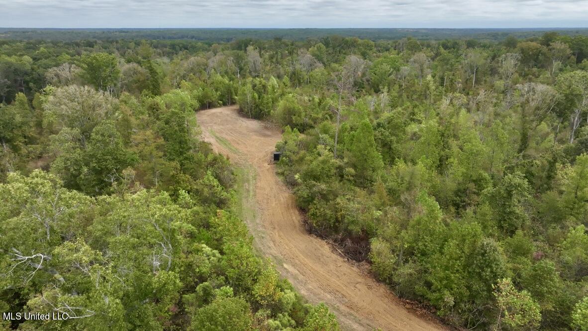 1 Hebron Road Lexington, MS 39095 - Photo 25 of 45 DD184E85-2104-4DA4-9EE9-E8BF09660EAF_1_1