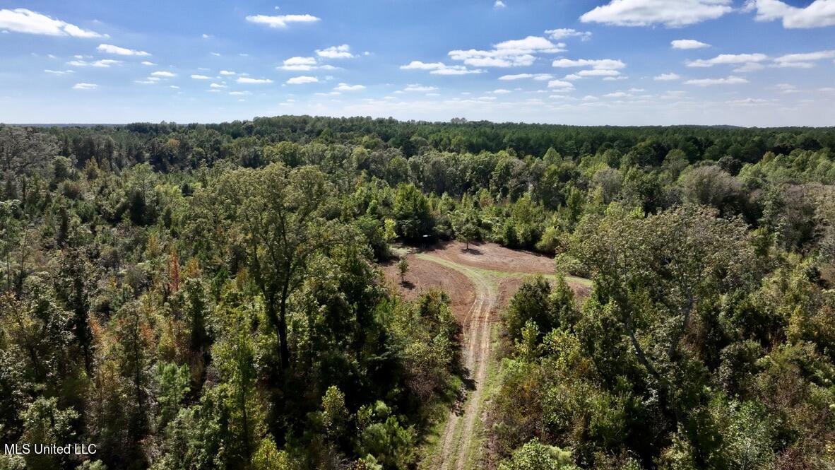 1 Hebron Road Lexington, MS 39095 - Photo 34 of 45 78C0A7E4-1060-482E-9CB8-A721CCF4DDF4_1_1