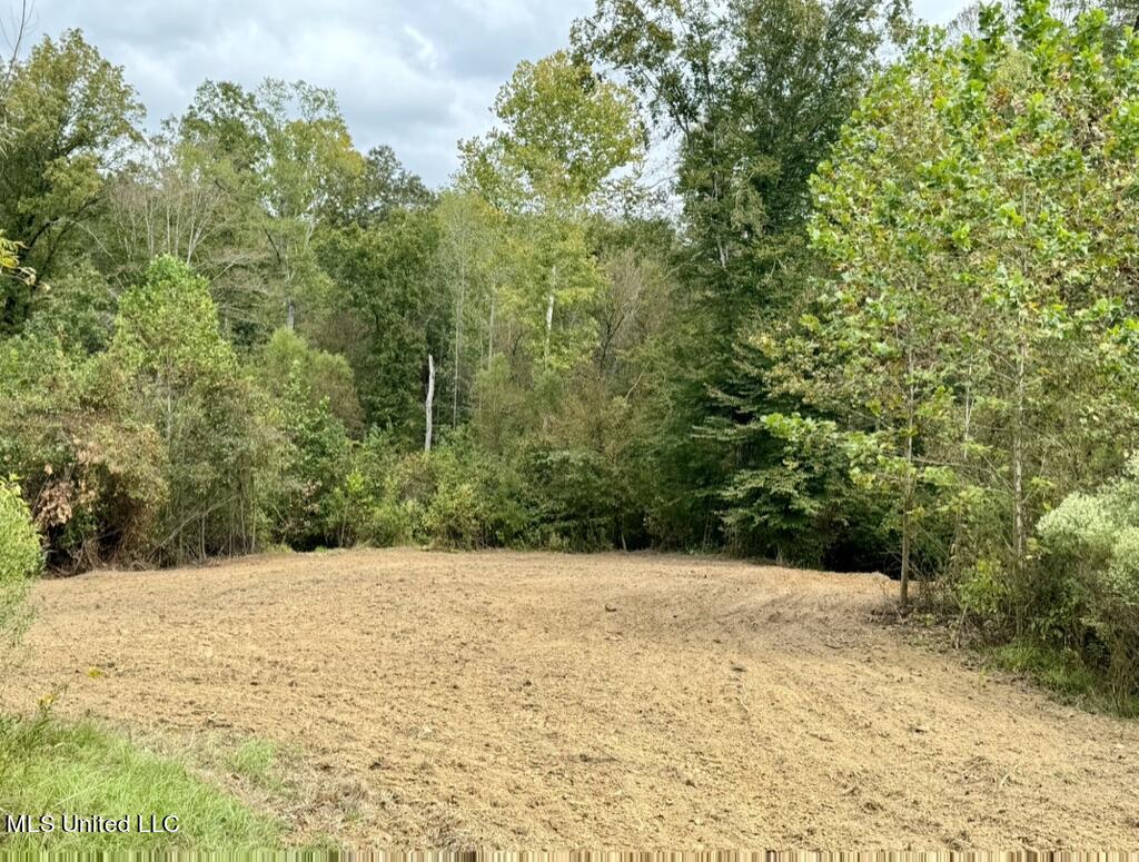 1 Hebron Road Lexington, MS 39095 - Photo 41 of 45 0F53C260-4B02-48D1-AAF6-9F194DBD92AF_1_1