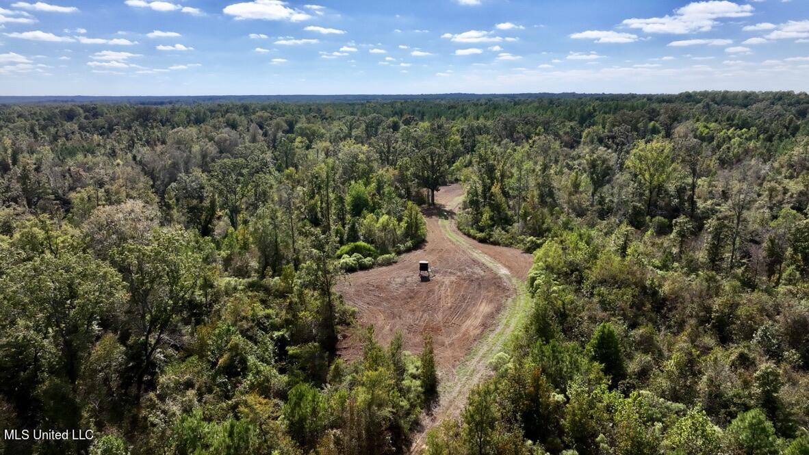 1 Hebron Road Lexington, MS 39095 - Photo 10 of 45 D9A99342-041C-4DEE-9978-8F3190853D0A_1_1