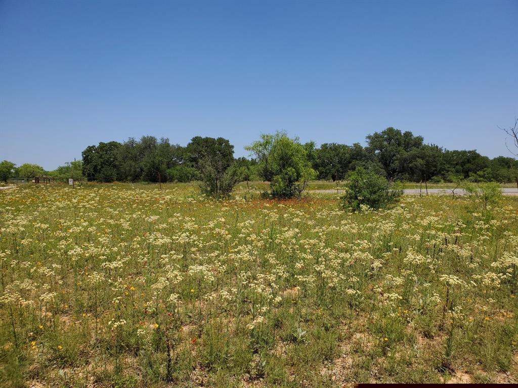 19069 Highway 6 Gorman, TX 76454 - Photo 3 of 8 a view of a field with an ocean