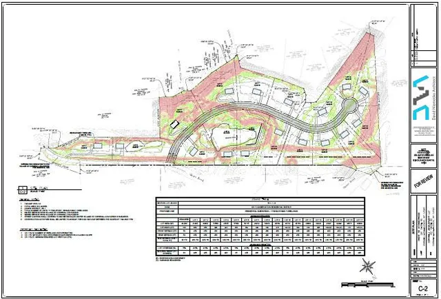 a view of a tree with a tree