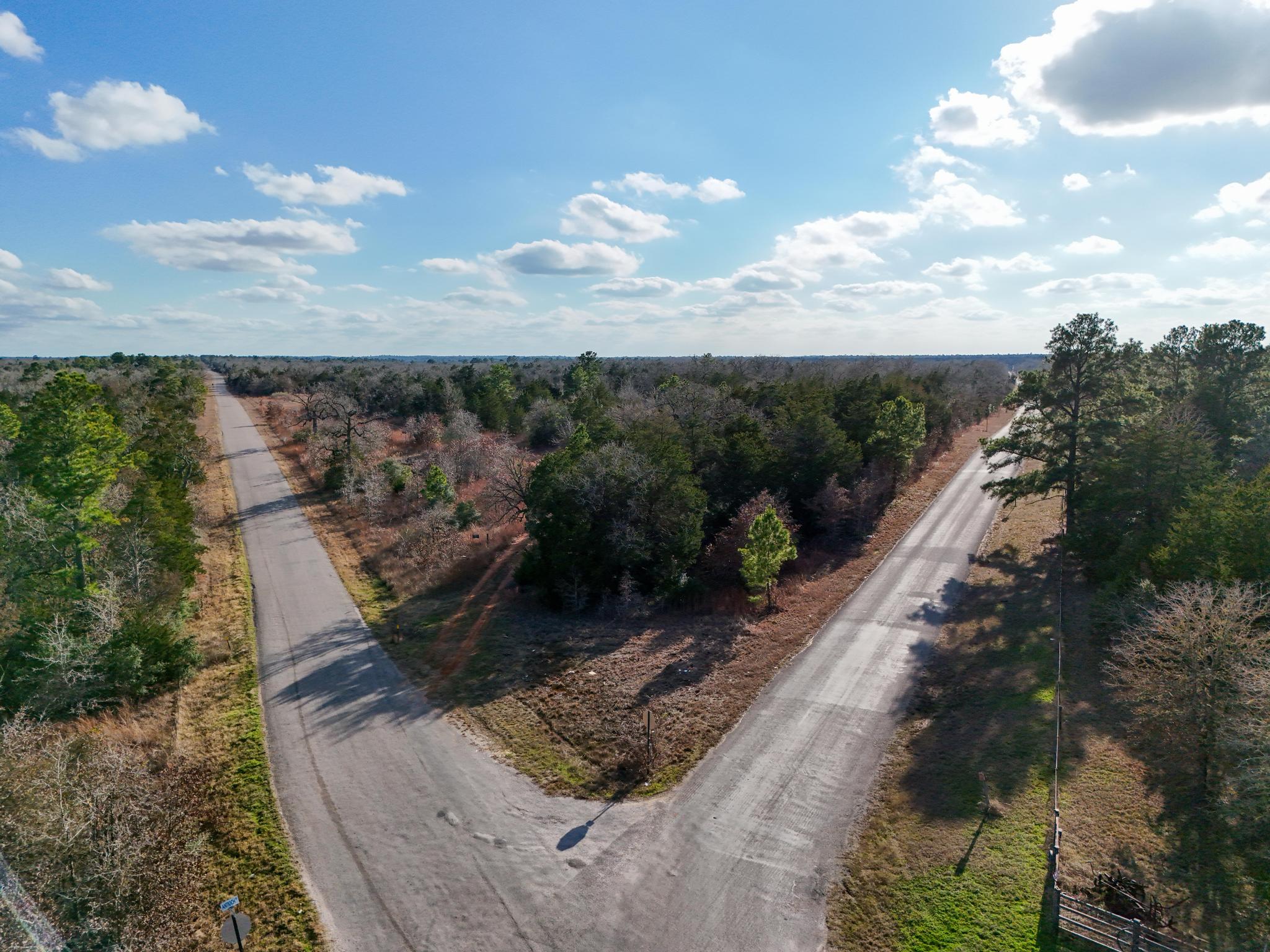 Lot 7 South Old Potato Road Paige, TX 78659 - Photo 8 of 22 Bird's eye view of a forest