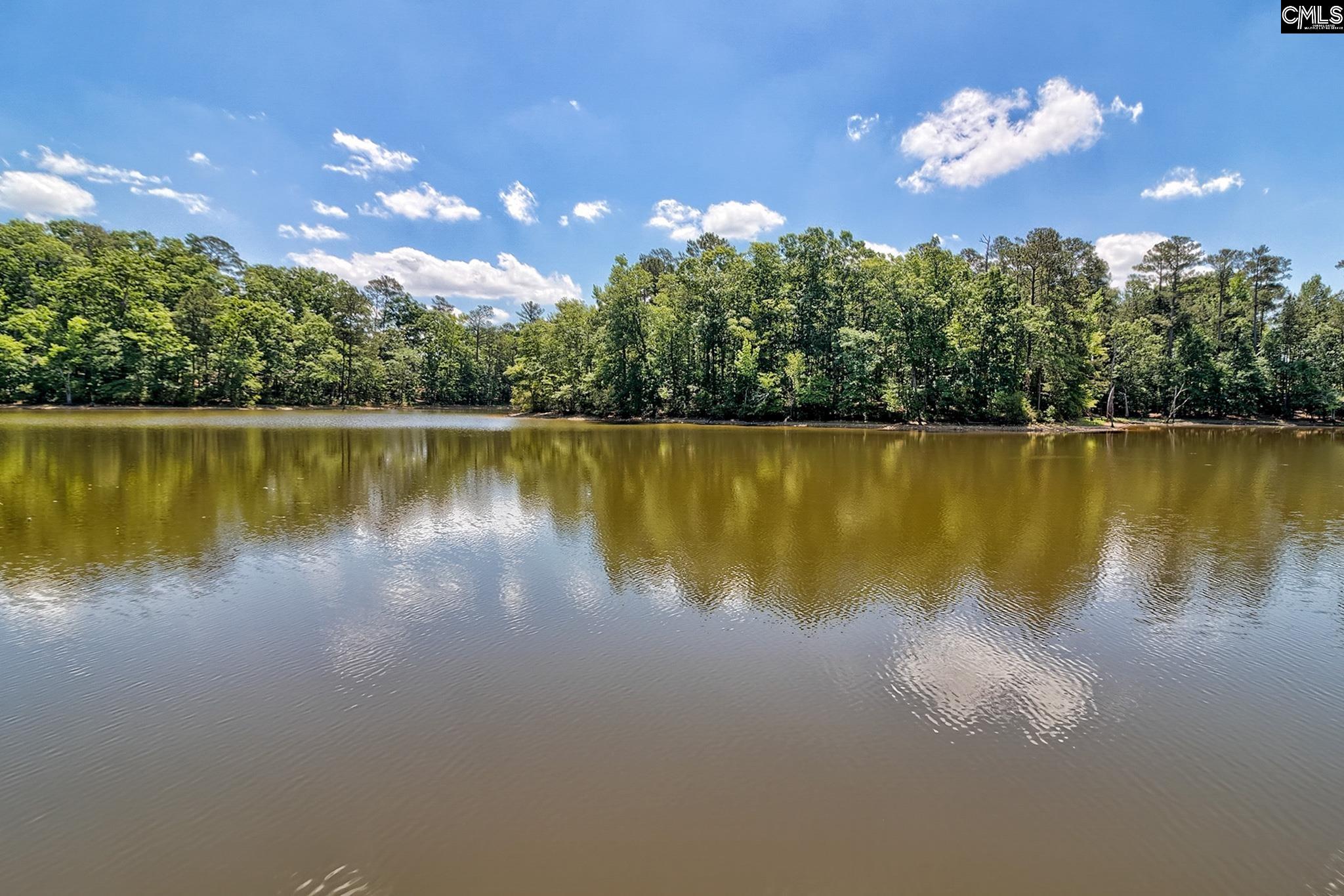463 Ridge Road Leesville, SC 29070 - Photo 12 of 69